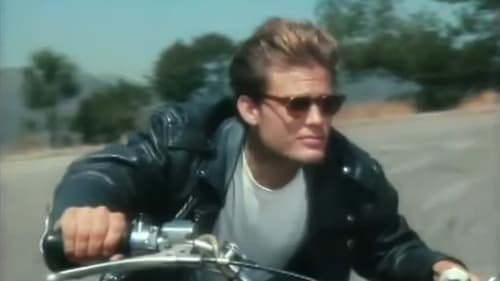 James Dean: Race with Destiny