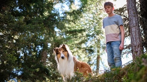 Lassie: A New Adventure