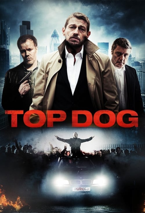 Top Dog