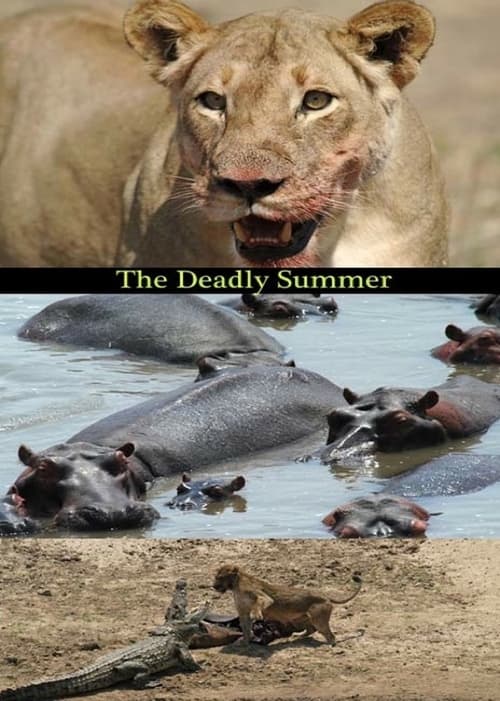 Deadly Summer