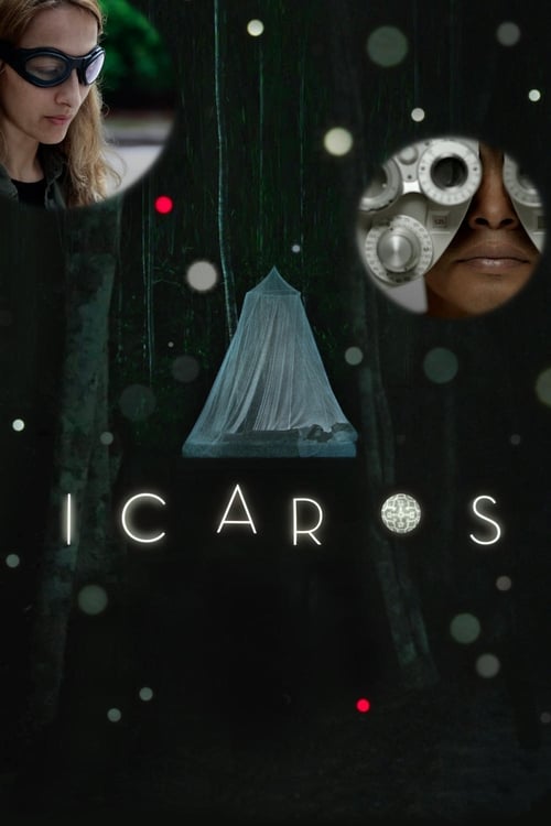 Icaros: A Vision