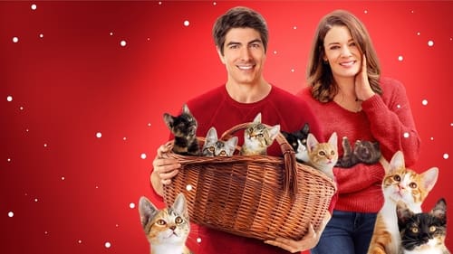 The Nine Kittens of Christmas