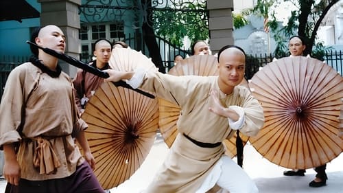 Martial Arts Master Wong Fei Hung