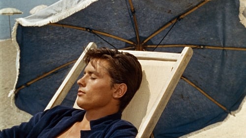 Purple Noon