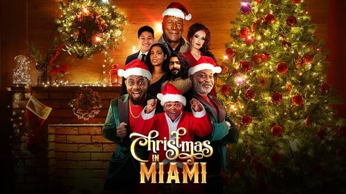 Christmas in Miami