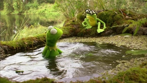 Kermit's Swamp Years